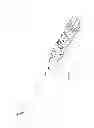 Fig. 06 - EXTENDABLE CUTTING MEMBER