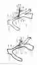Fig. 06 - MEDICAL PROCEDURE ACCESS KIT