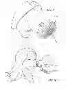 Fig. 07 - LIGHT THERAPY SKIN DEVICE