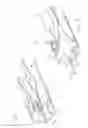 Fig. 09 - Hemostatic clipping devices and methods