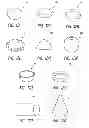 Fig. 08 - OCCLUSIVE DEVICES
