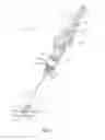 Fig. 06 - Procedural sheath adapter for vascular closure device