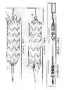 Fig. 71 - Dual Capture Device For Stent Graft Delivery System And Method For Capturing A Stent Graft