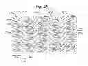 Fig. 09 - Stent