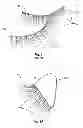 Fig. 02 - ARTIFICAL EYELID AND EYELASHES DEVICE