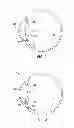 Fig. 02 - Apparatus, system and method for providing a coating for an implantable lens