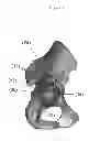 Fig. 08 - Customized surgical guides, methods for manufacturing and uses thereof