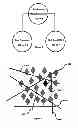 Fig. 09 - Method of production, apparatus and system