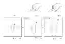 Fig. 01 - VEHICULAR IMAGE SYSTEM AND DISPLAY CONTROL METHOD FOR VEHICULAR IMAGE