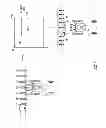 Fig. 02 - Method and system for preventing herbicide application to non-tolerant crops