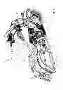 Fig. 03 - Two-wheeled vehicle