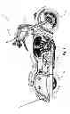 Fig. 05 - Two-wheeled vehicle