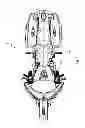 Fig. 06 - Two-wheeled vehicle