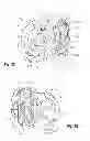 Fig. 23 - Two-wheeled vehicle