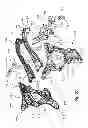Fig. 28 - Two-wheeled vehicle
