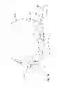 Fig. 90 - Two-wheeled vehicle