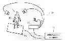 Fig. 01 - RATING A PHYSICAL CAPABILITY BY MOTION ANALYSIS