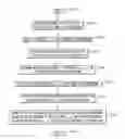 Fig. 01 - PRECISE SIMULATION OF PROGENY DERIVED FROM RECOMBINING PARENTS