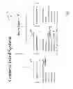 Fig. 02 - Interactive Patient and Physician Systems and Their Methods of Use