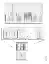 Fig. 06 - Dynamic management and netting of transactions using executable rules