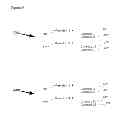 Fig. 08 - SECURITIES LENDING RECORDS PROCESSING