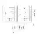 Fig. 44 - Dashboard collaborator