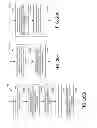 Fig. 23 - Random number generator functions in memory