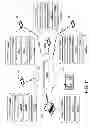 Fig. 12 - Interactive Presentations