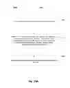 Fig. 55 - Systems and methods for supporting downloadable applications on a portable client device
