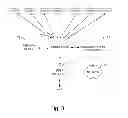 Fig. 04 - Context Extraction