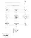 Fig. 07 - Orchestration management of information technology