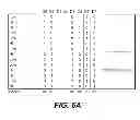 Fig. 06 - Architectures for data analytics using computational NAND memory