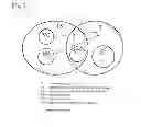 Fig. 09 - ENTITY NETWORK TRANSLATION (ENT)