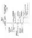 Fig. 24 - Information processing apparatus and information processing method