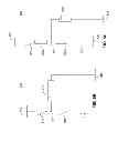 Fig. 07 - Apparatus and system for generating a signal with phase angle configuration