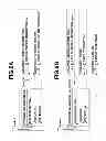 Fig. 07 - Information processing apparatus and information processing method