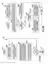 Fig. 07 - GENERATING WEBSITE ANALYTICS