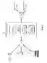Fig. 02 - SELECTIVE UPDATING OF PREVIEW CONTENT