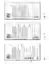 Fig. 09 - Comment presentation