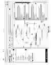 Fig. 14 - TARGETED ADVERTISING BASED ON TRENDING OF AGGREGATED PERSONALIZED INFORMATION STREAMS