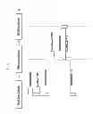 Fig. 08 - User function operation method and electronic device supporting the same
