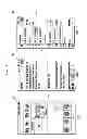 Fig. 22 - User function operation method and electronic device supporting the same