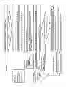 Fig. 35 - Producer graph oriented programming and execution