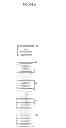 Fig. 09 - Method for internet transactions