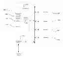 Fig. 01 - Password mismatch warning method and apparatus