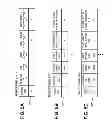 Fig. 06 - Single sign-on for network applications