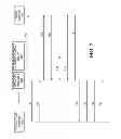 Fig. 08 - Single sign-on for network applications