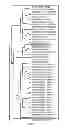 Fig. 02 - TRAIT IMPROVEMENT IN PLANTS EXPRESSING AP2 PROTEINS