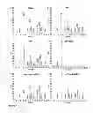 Fig. 09 - GLUCOSINOLATE TRANSPORTER PROTEIN AND USES THEREOF