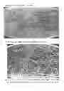 Fig. 07 - MULTI-USE FUNCTIONAL COTTON, AND METHOD FOR MANUFACTURING SAME